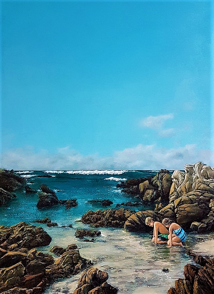 Rockpool fun